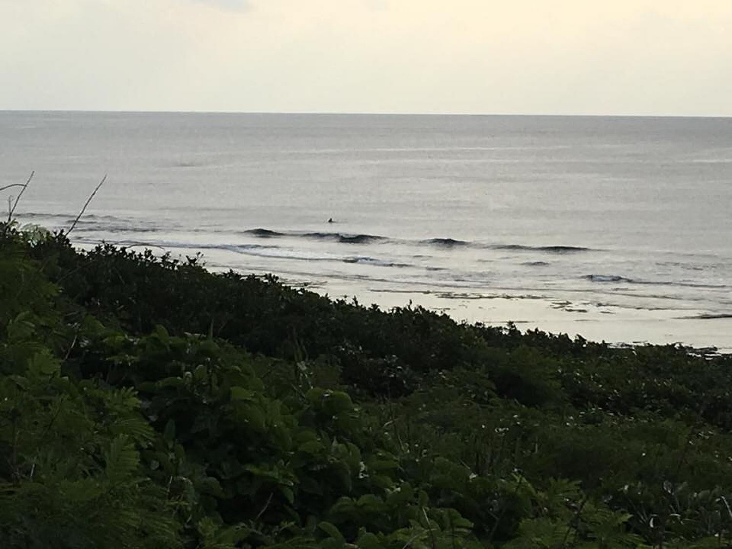 Dec 31 suicide point wave information