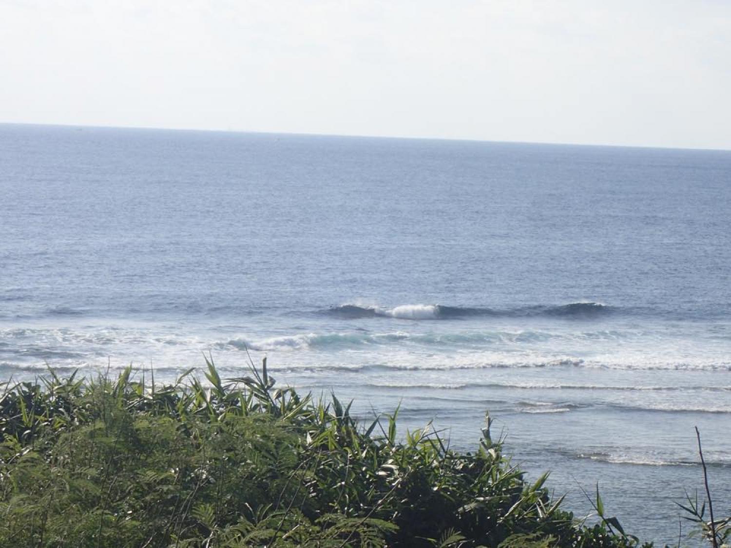 Jan 3 suicide point wave information