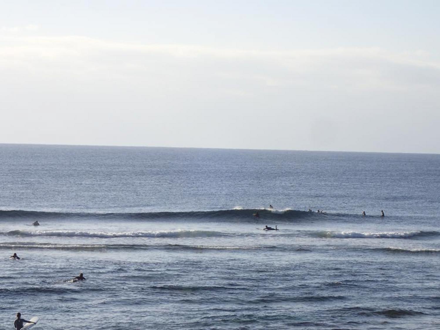 Jan 6 suicide point wave information