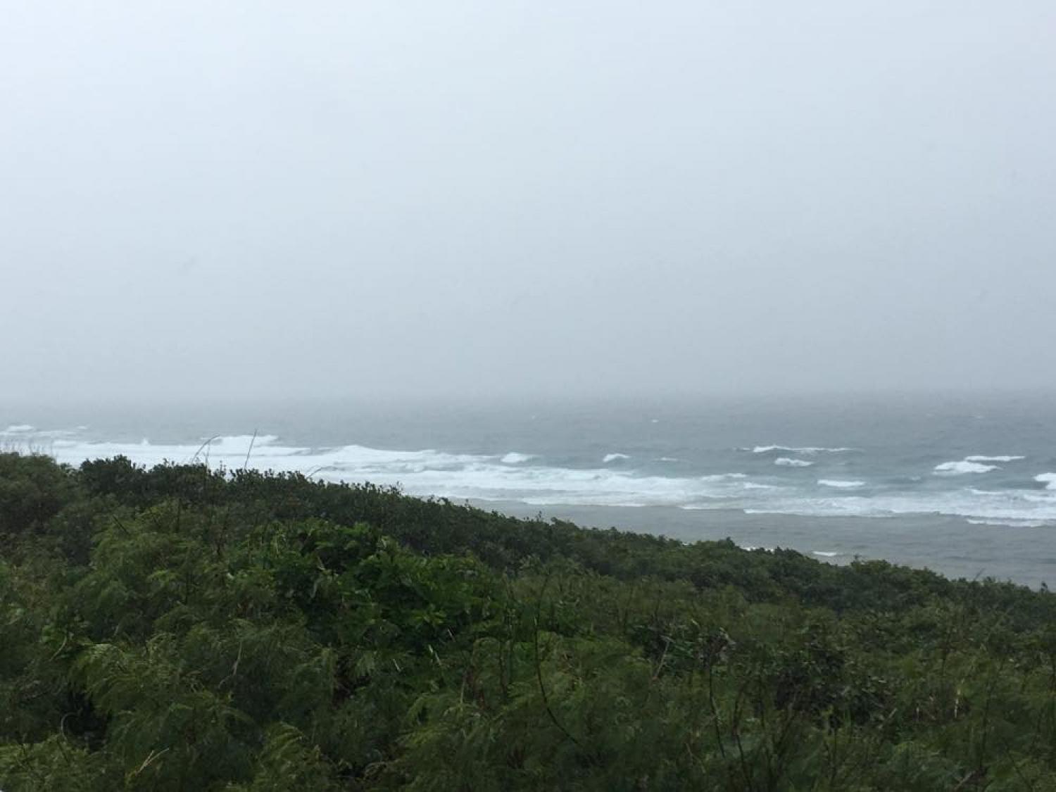 Jan 8 suicide point wave information