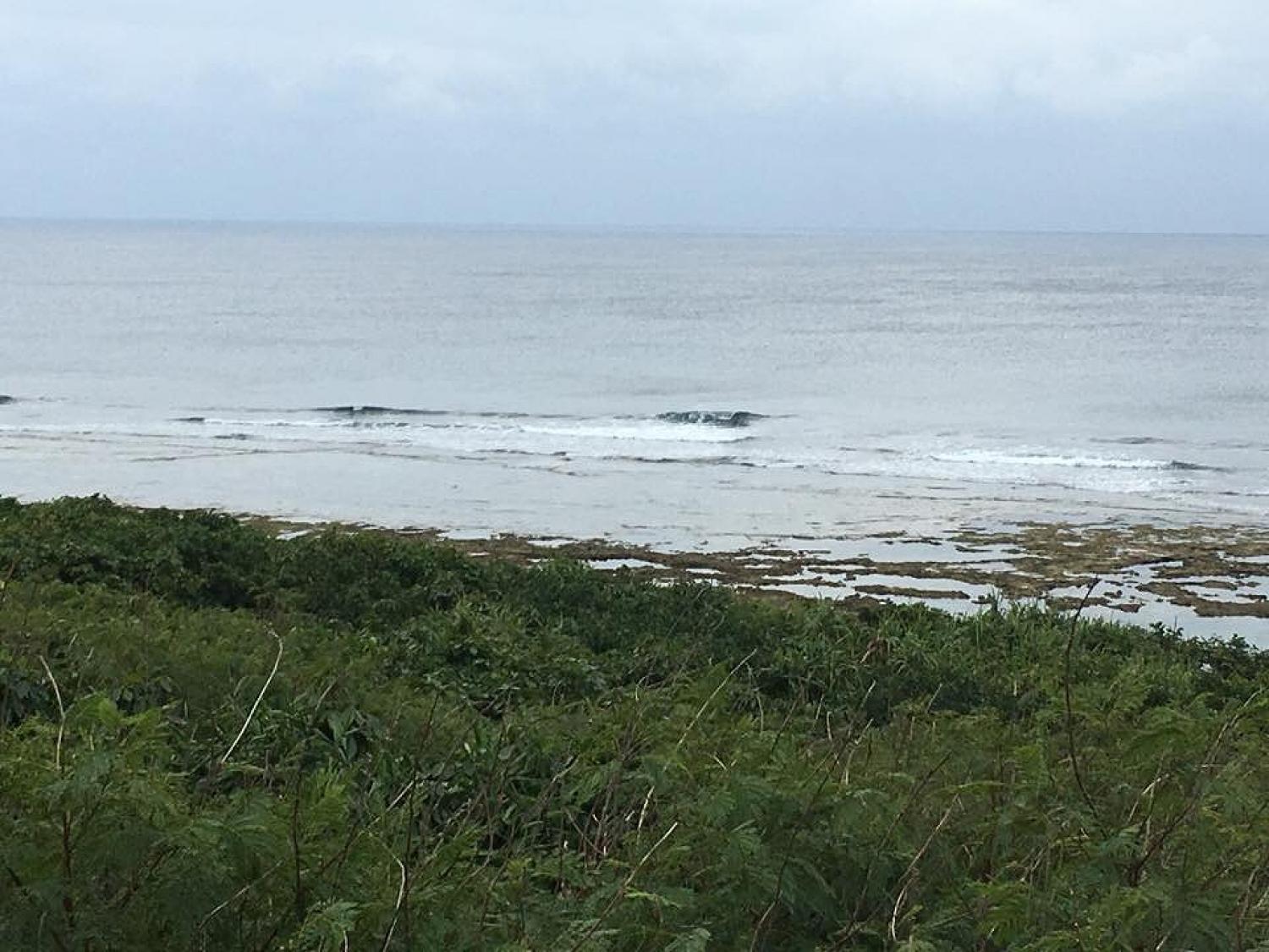 Jan 9 suicide point wave information