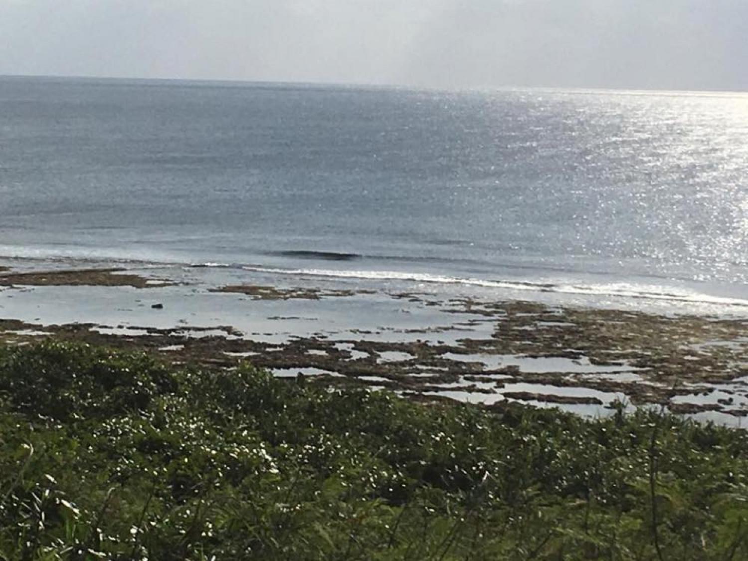 Jan 11 suicide point wave information