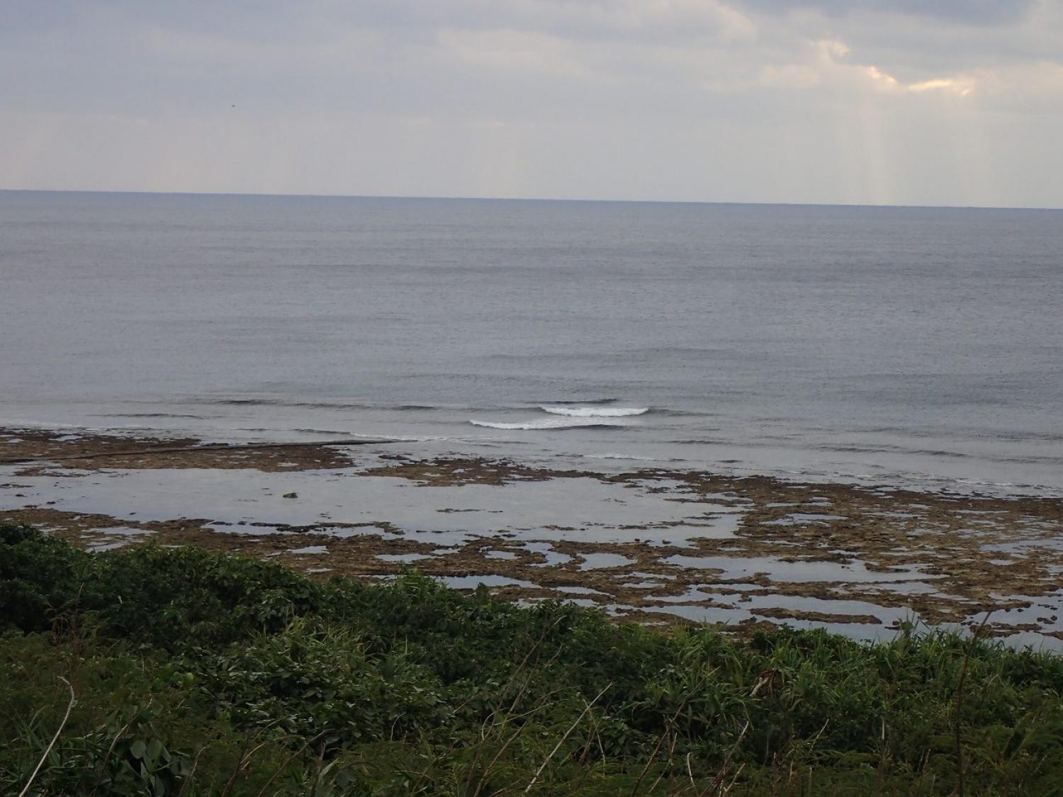 Jan 12 suicide point wave information