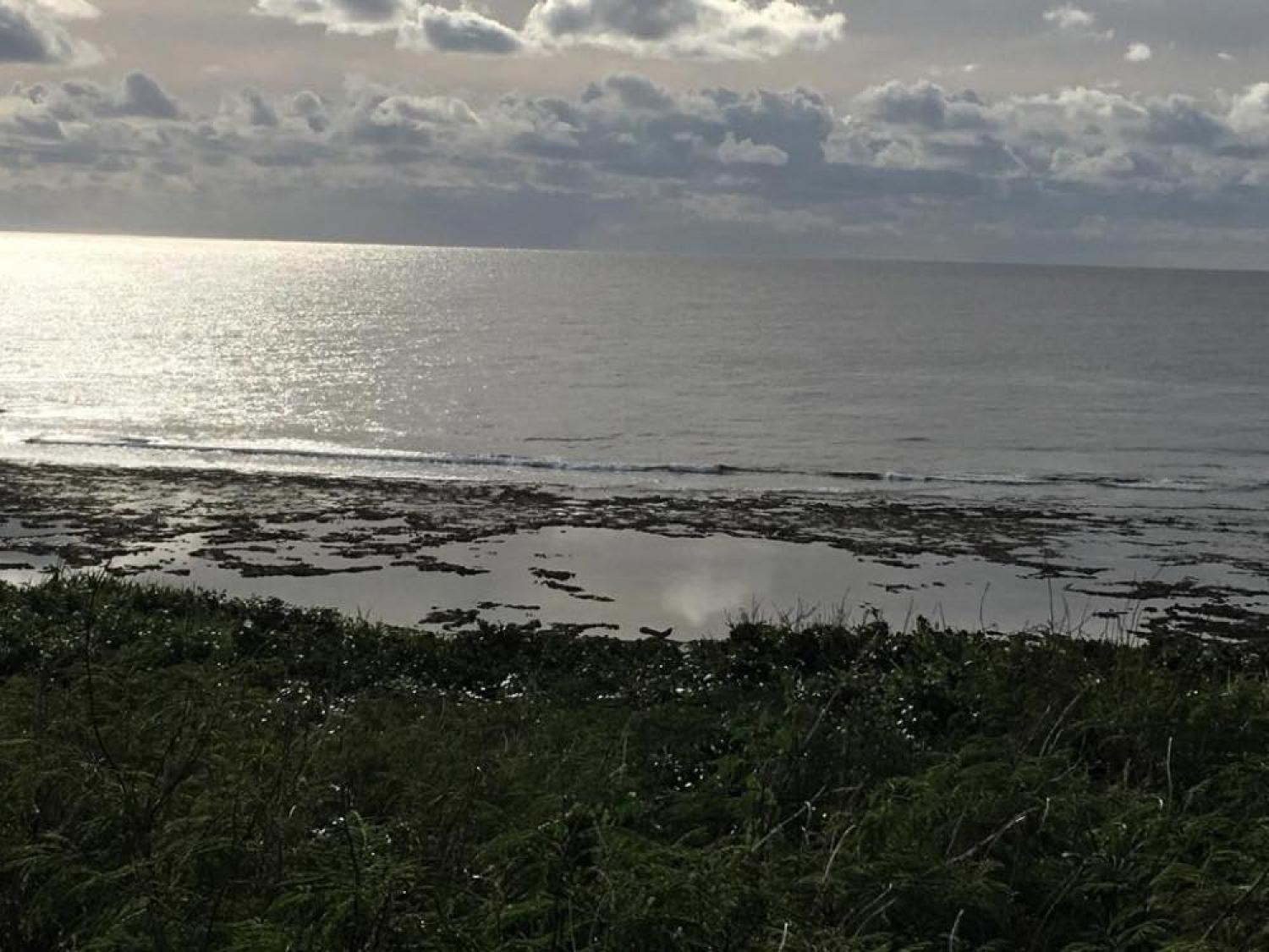 Jan 13 suicide point wave information