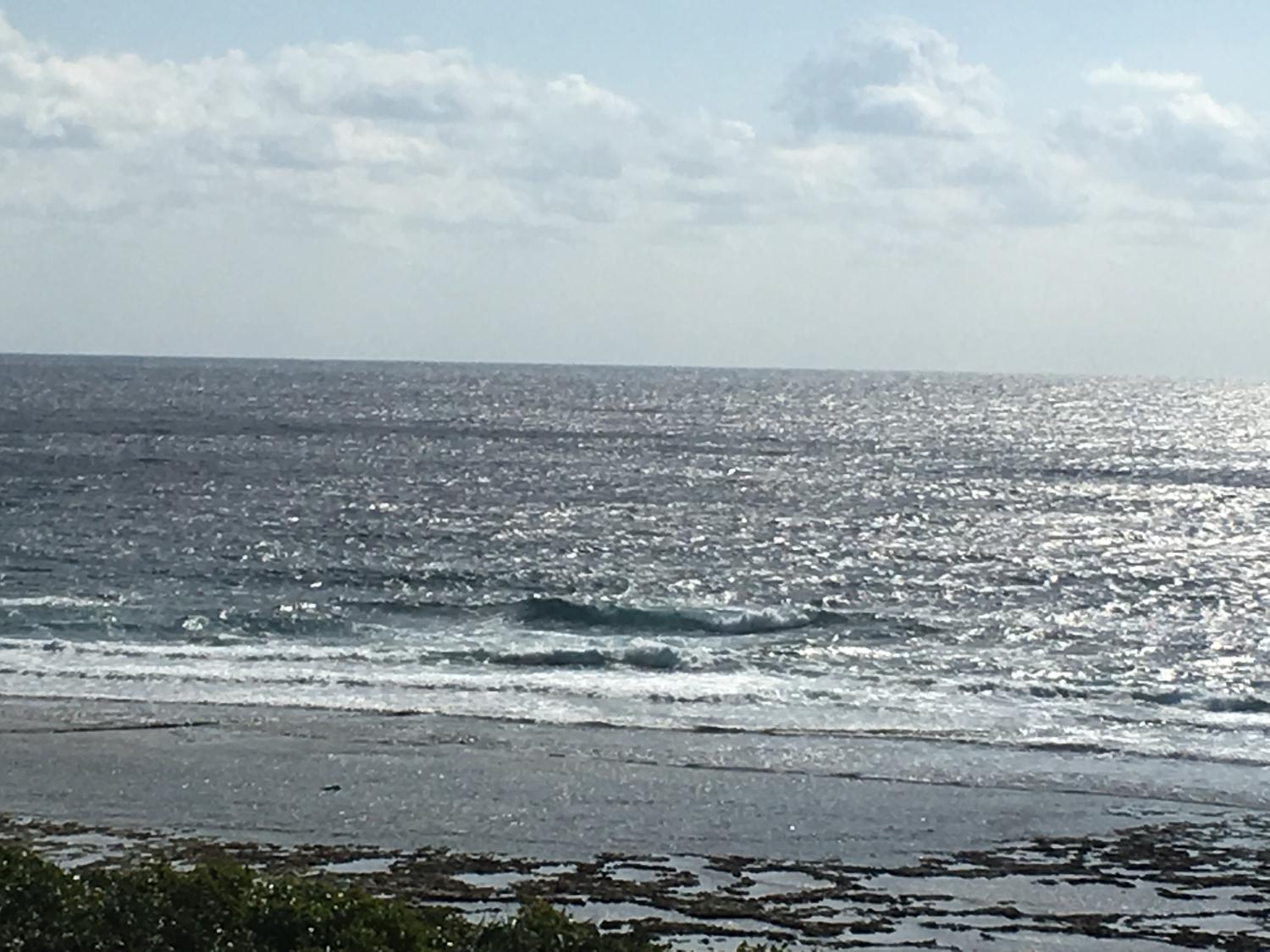 Jan 15 suicide point wave information
