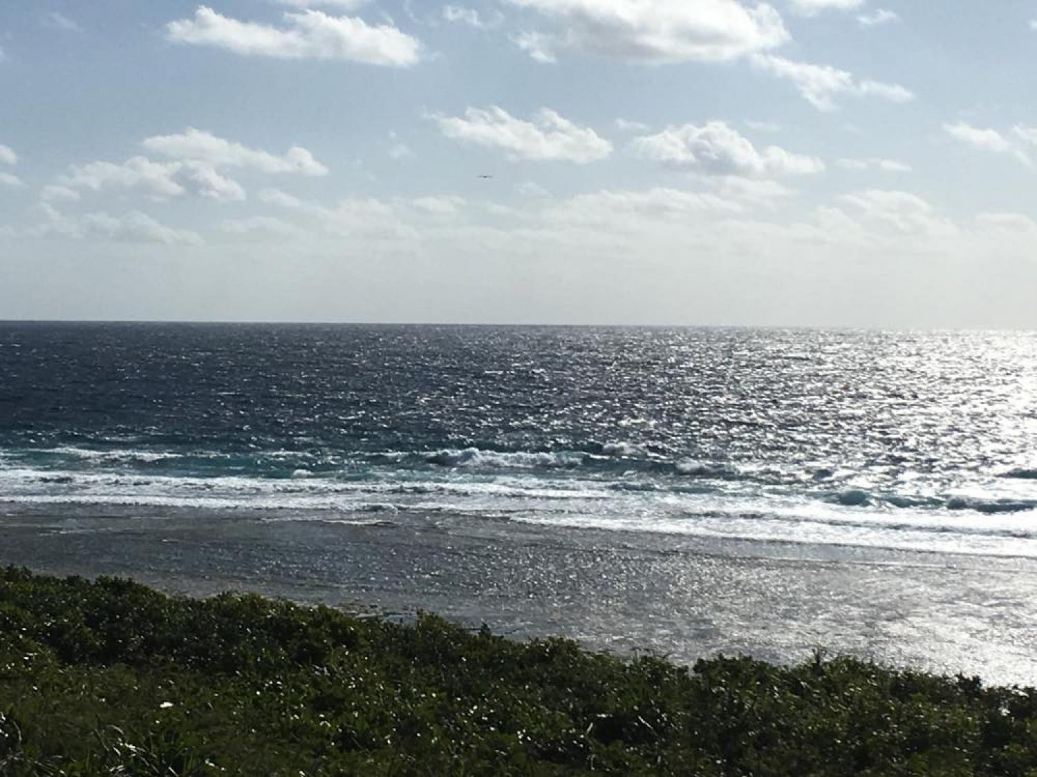 Jan 16 suicide point wave information