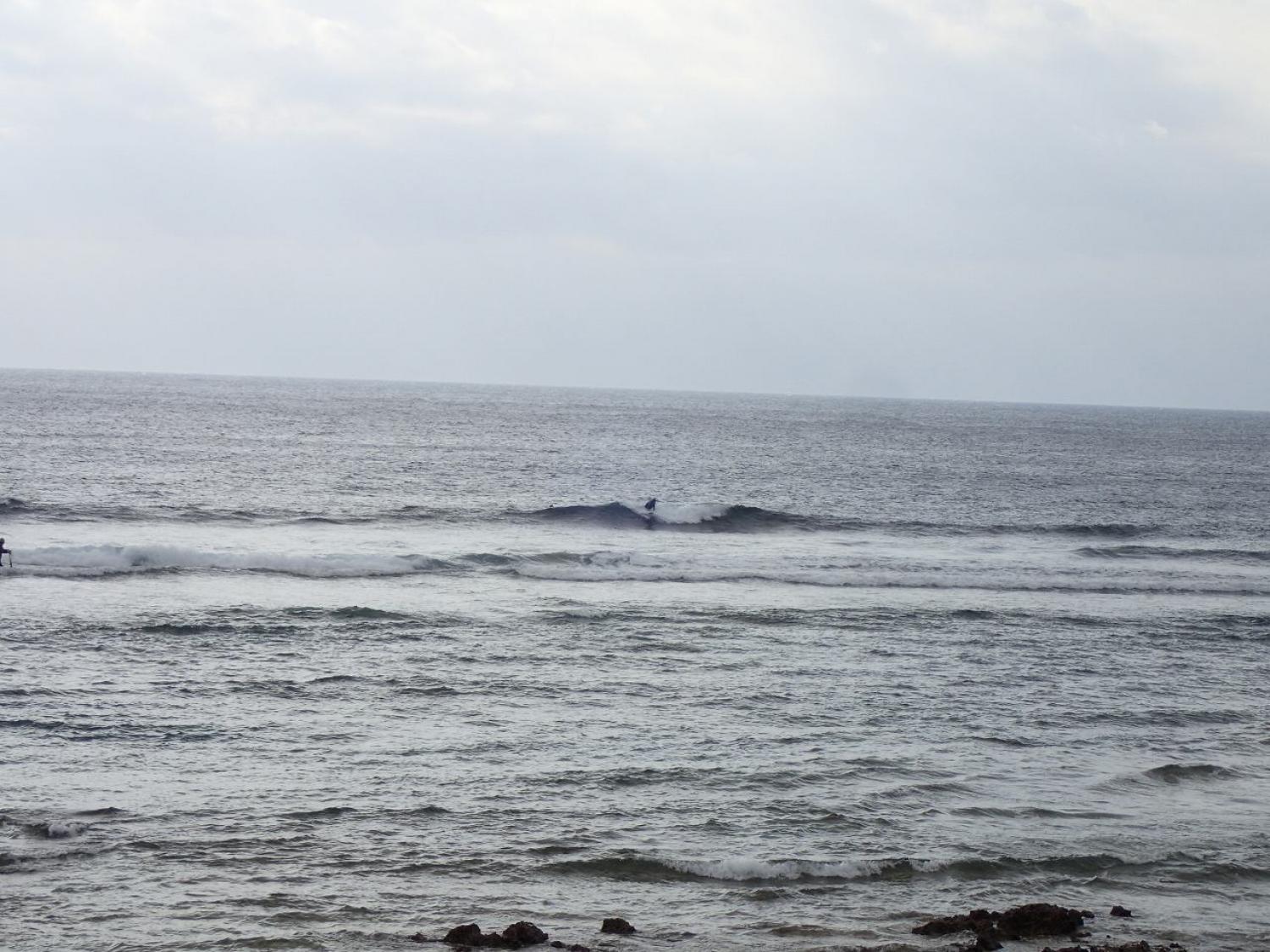 1月23日（火） スーサイド波情報 2