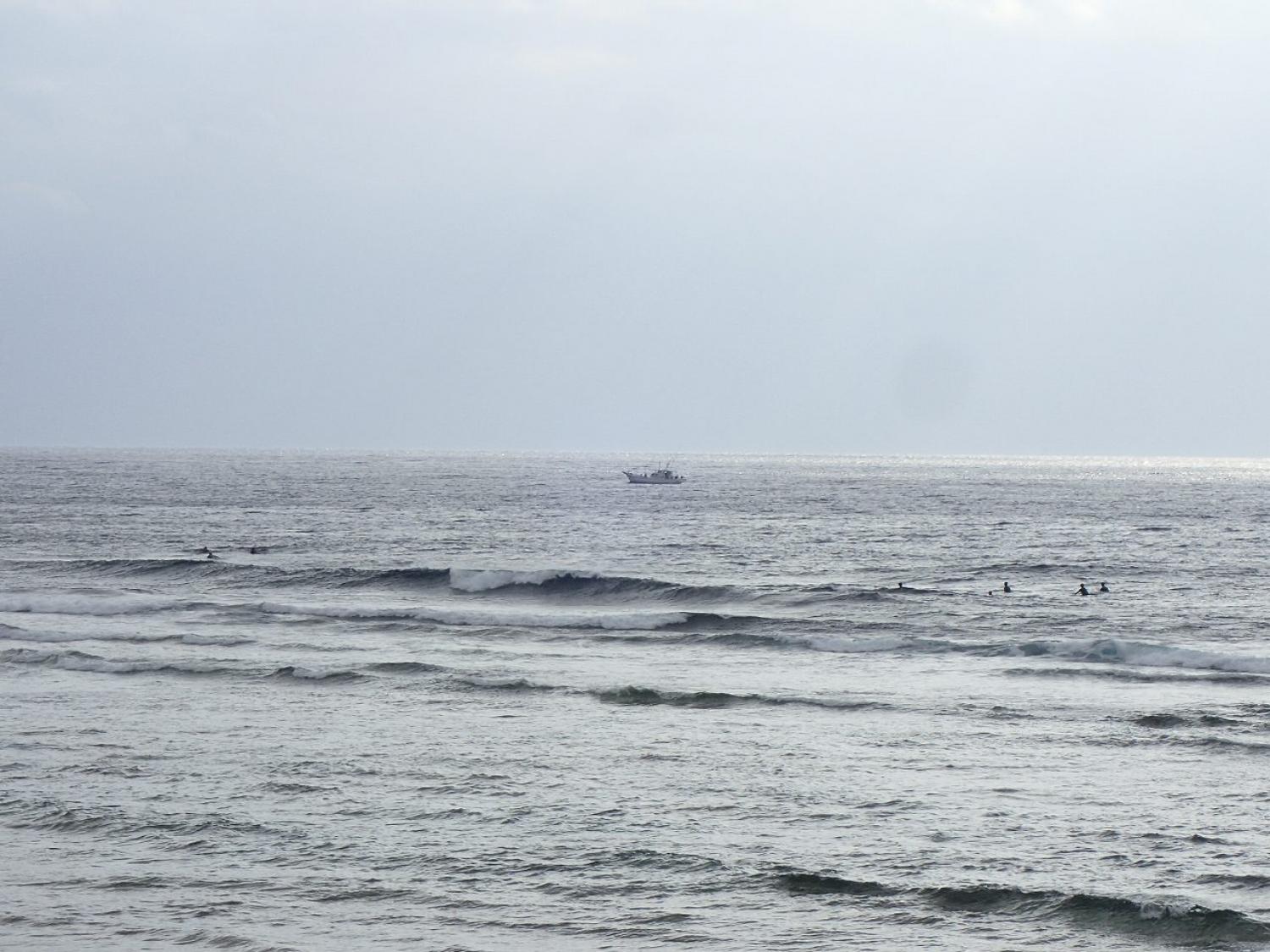 1月23日（火） スーサイド波情報 3