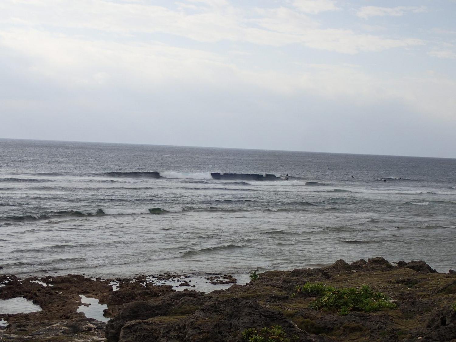 1月23日（火） スーサイド波情報 4