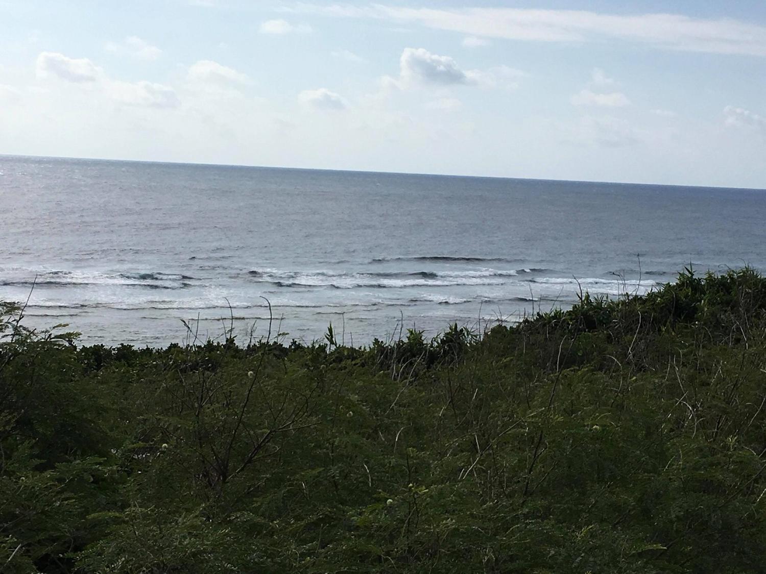 Jan 25 suicide point wave information