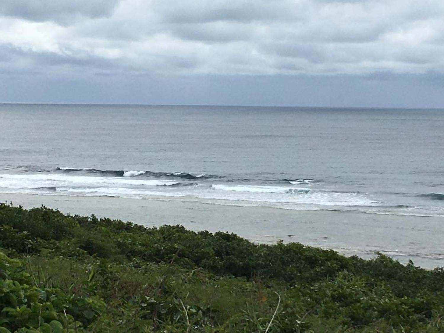 Jan 26 suicide point wave information