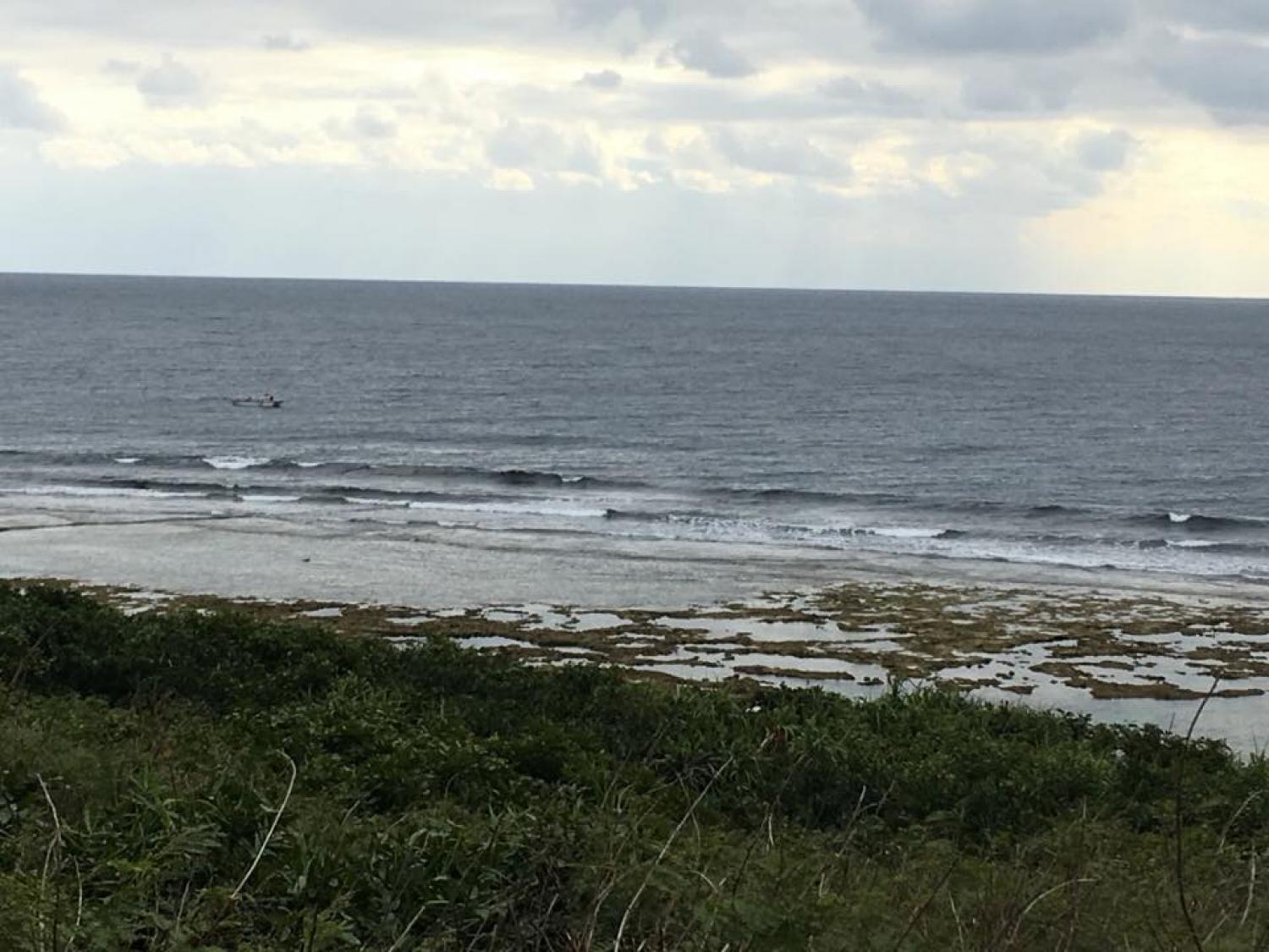 Jan 27 suicide point wave information
