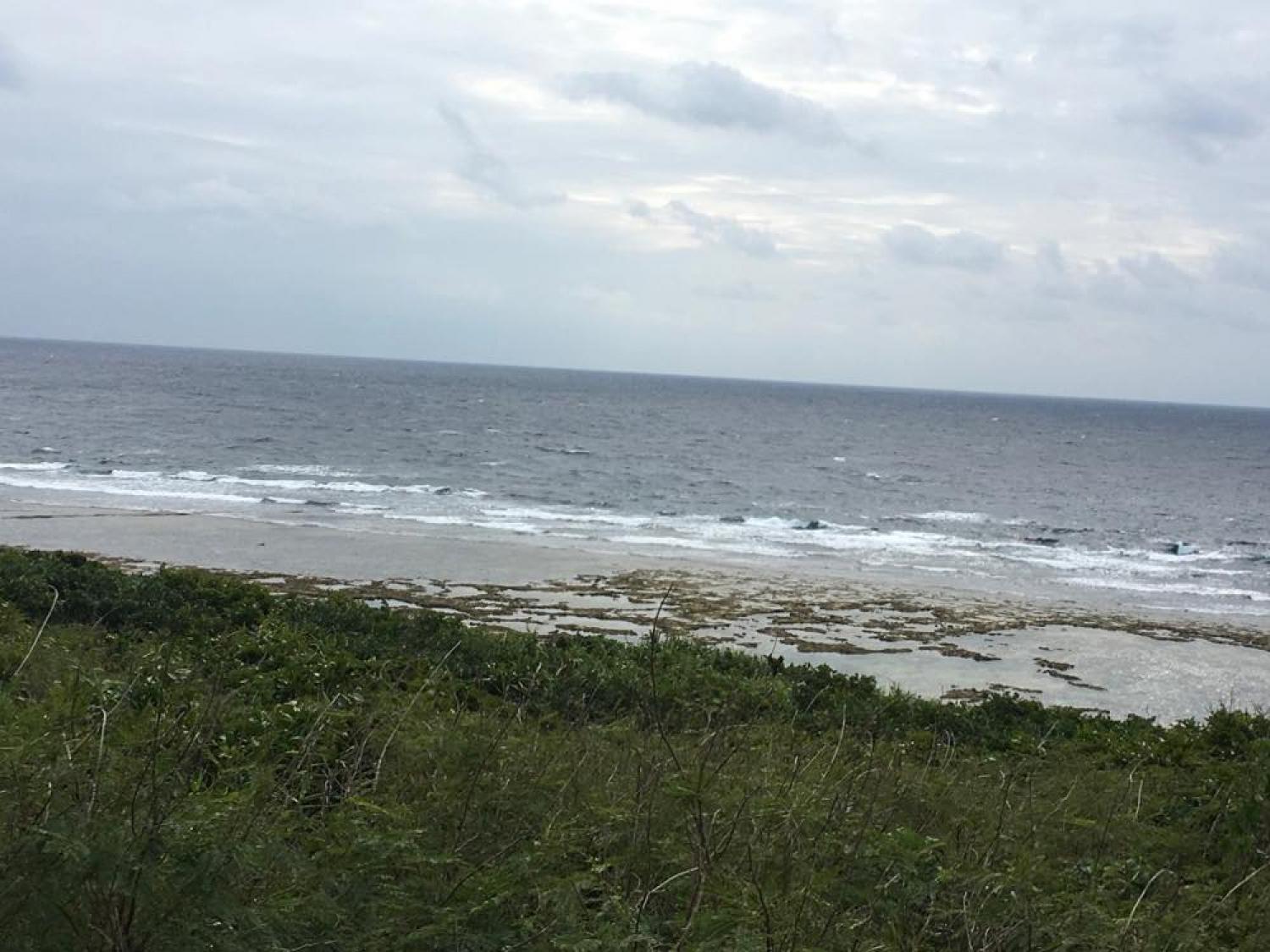 Jan 28 suicide point wave information
