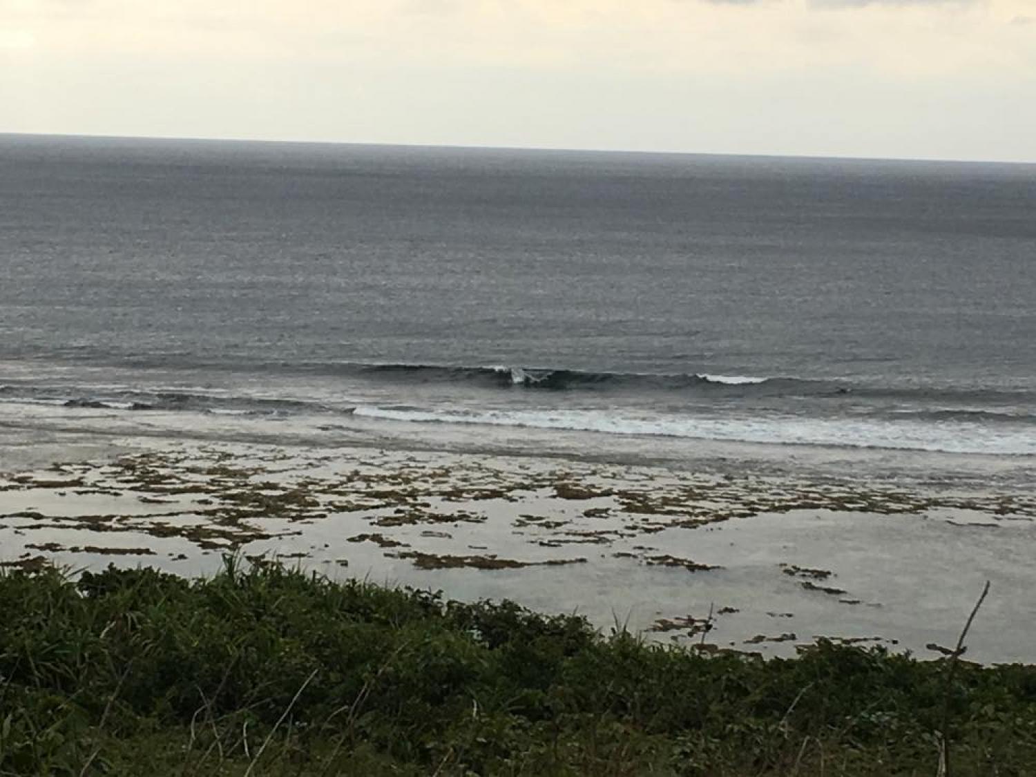 Jan 29 suicide point wave information