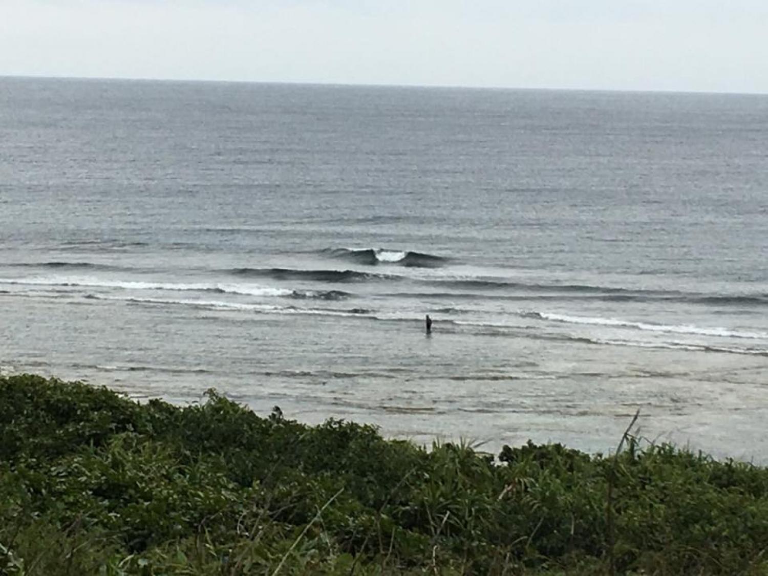 Jan 30 suicide point wave information