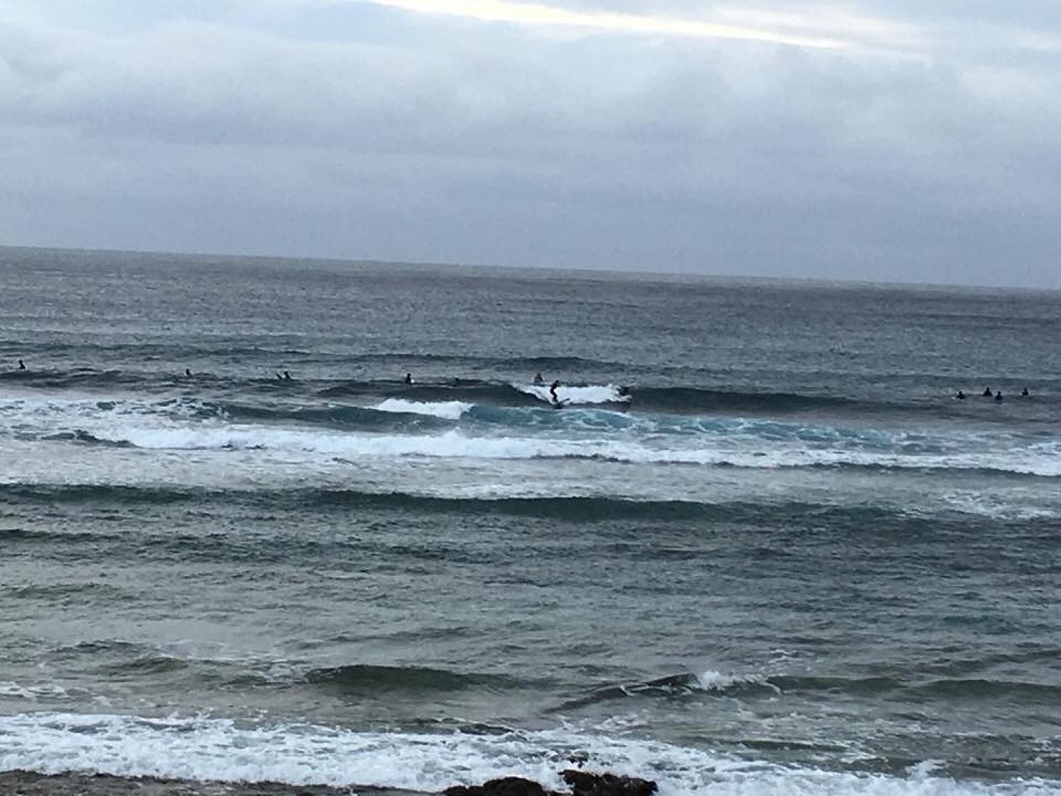 Feb Feb 1 suicide point wave information