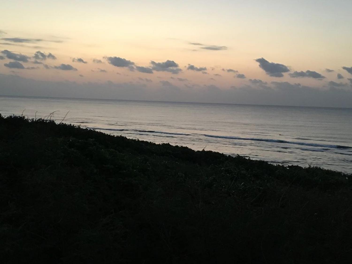 feb 2 suicide point wave information