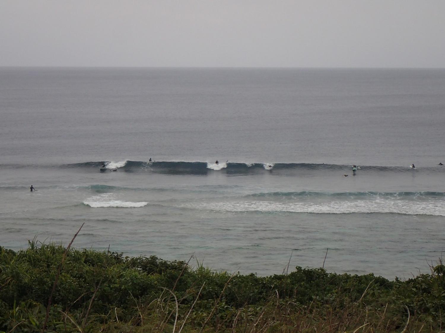 feb 3 suicide point wave information