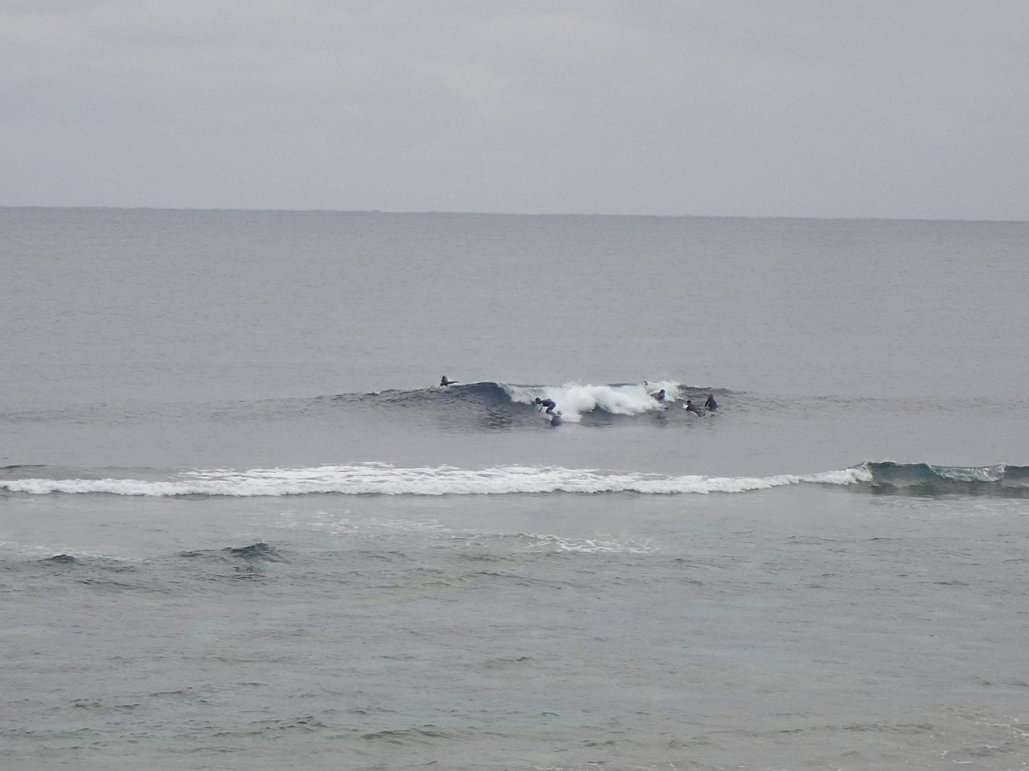 feb 5 suicide point wave information
