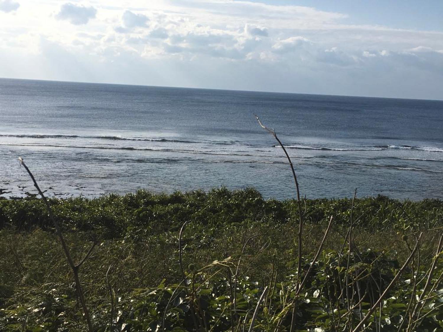 feb 6 suicide point wave information