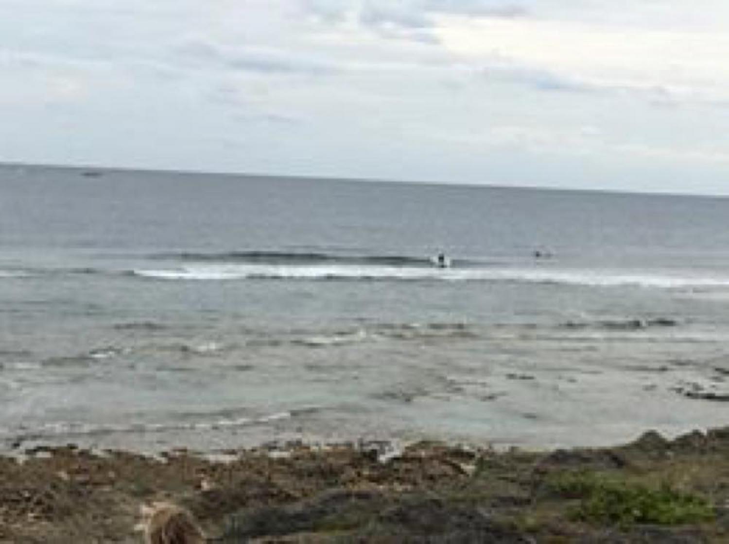 feb 8 suicide point wave information