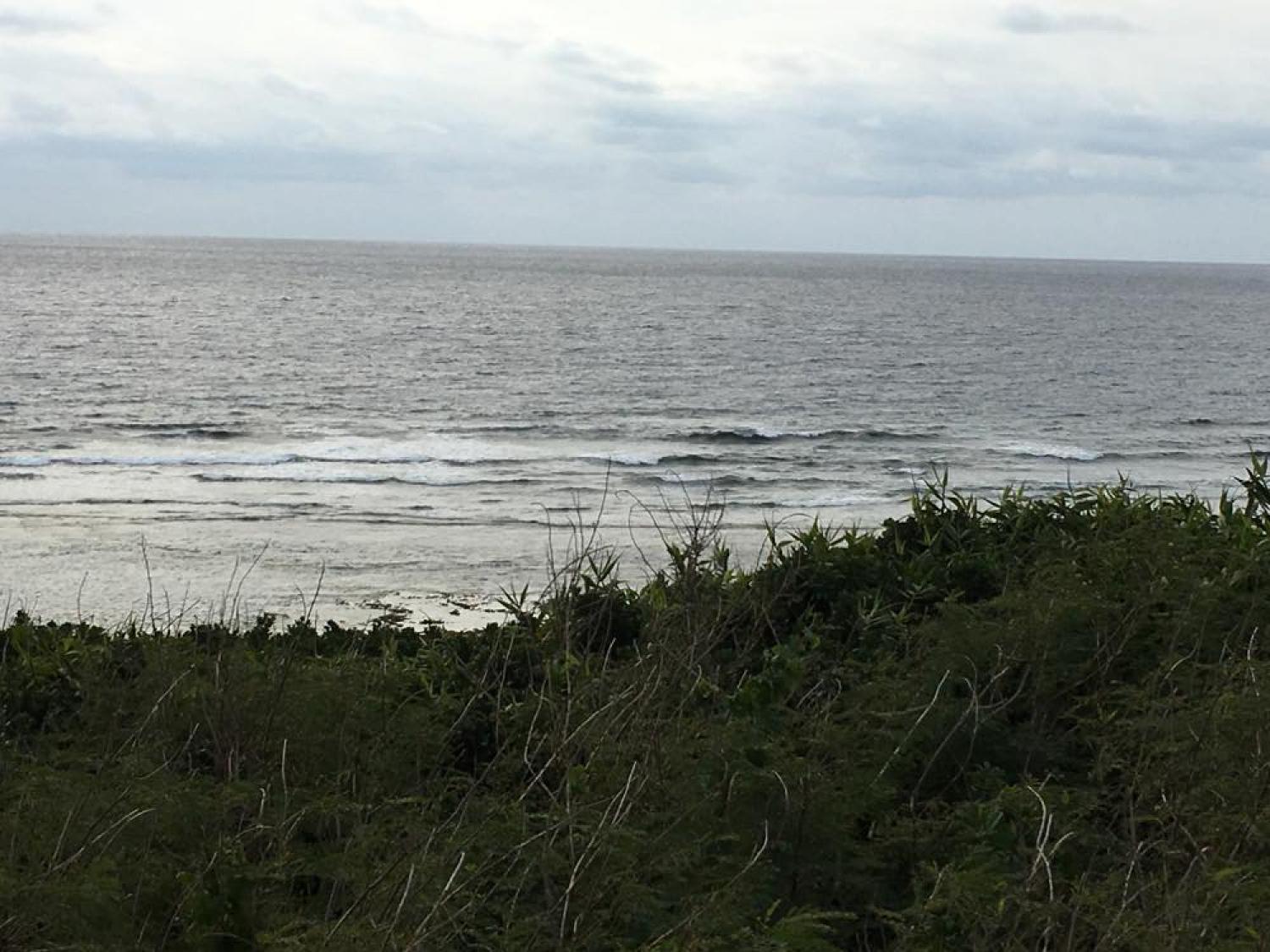 feb 9 suicide point wave information