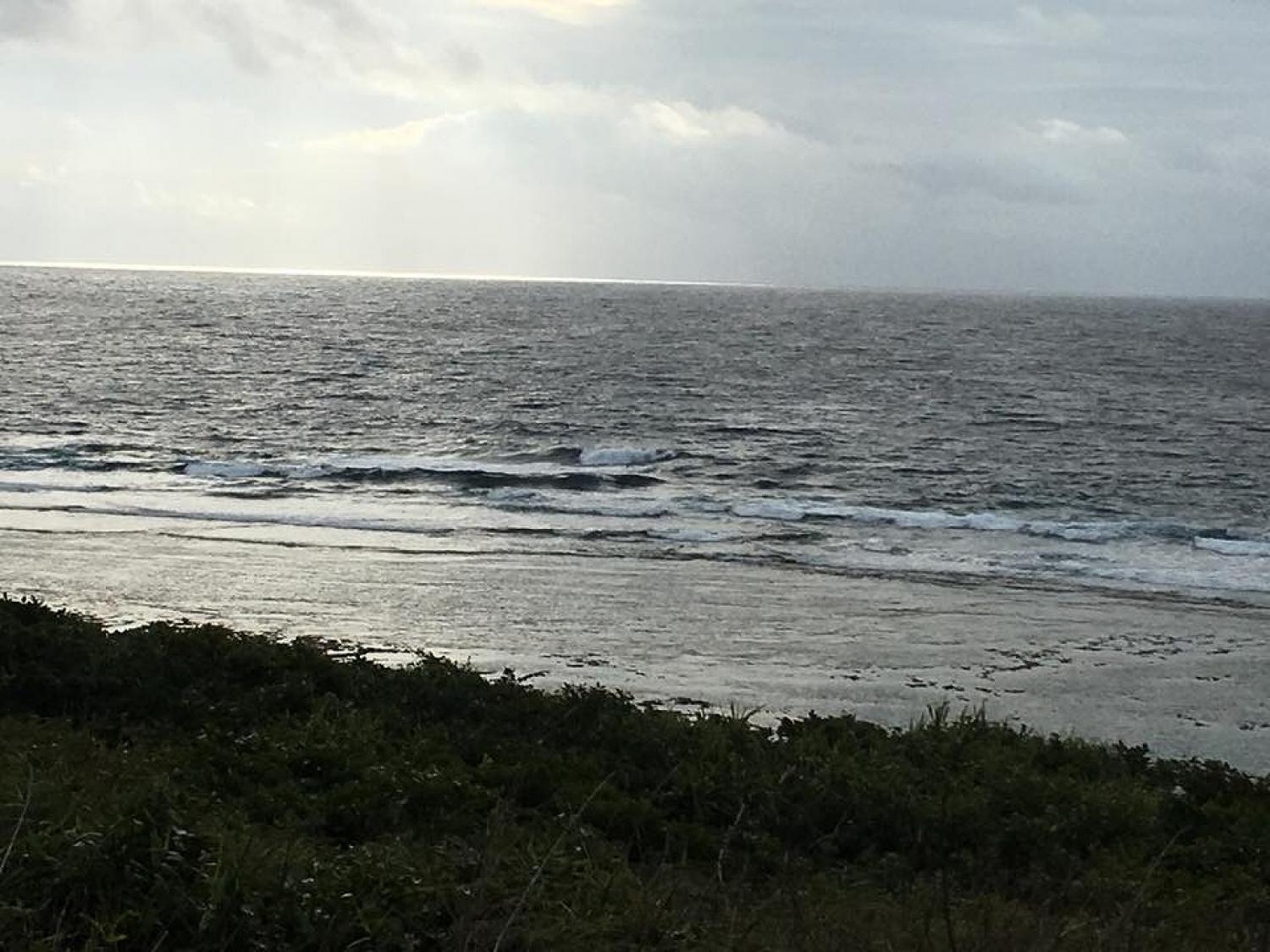 feb 10 suicide point wave information