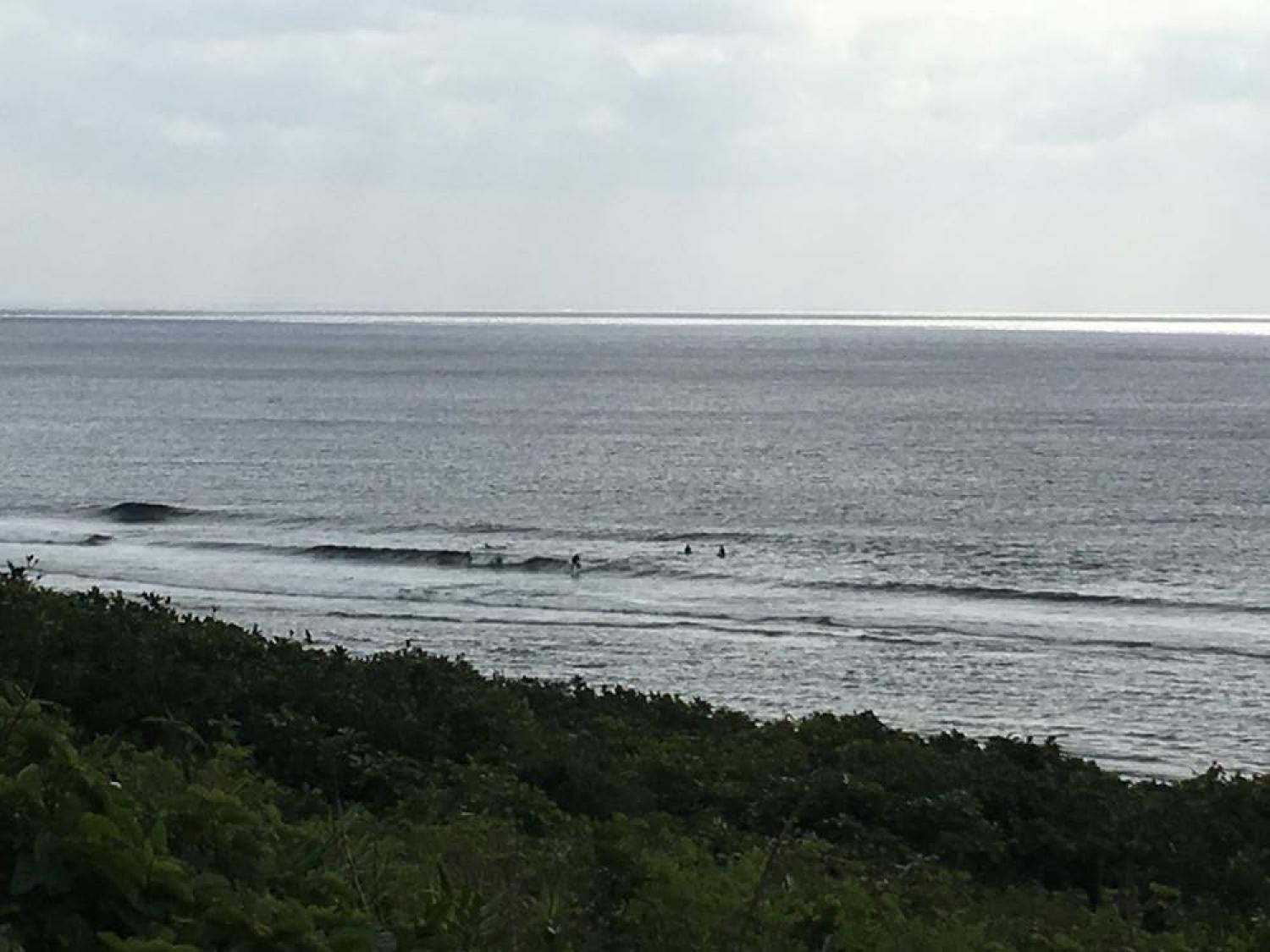 feb 17 suicide point wave information
