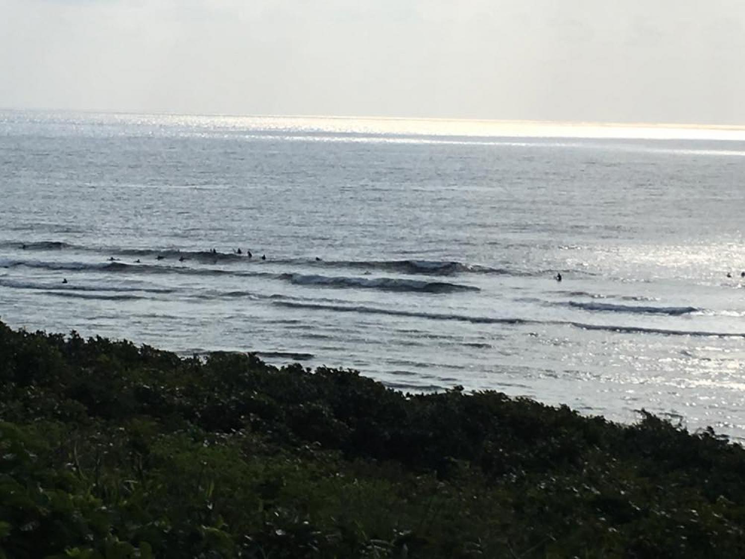 feb 18 suicide point wave information