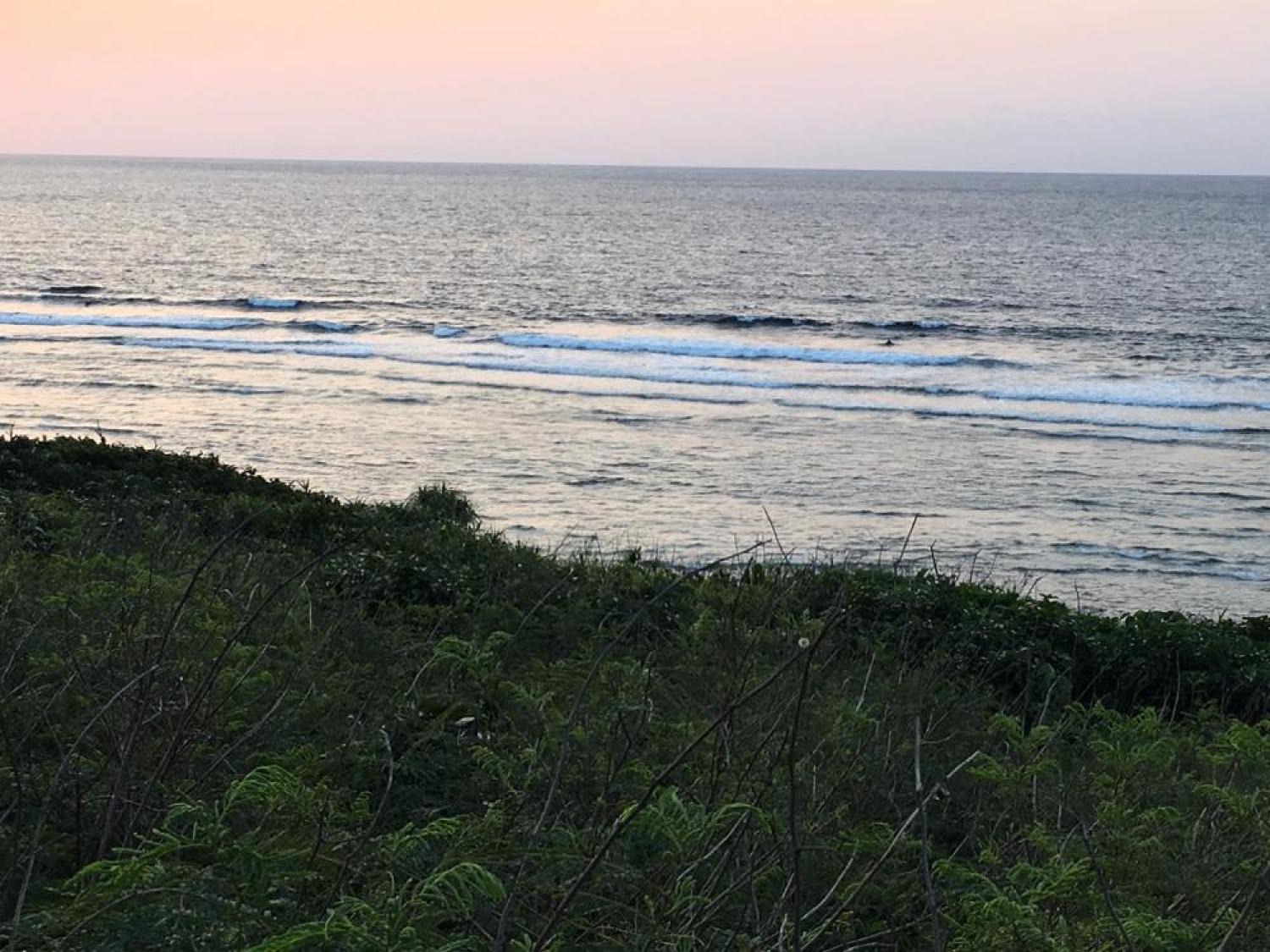 feb 19 suicide point wave information