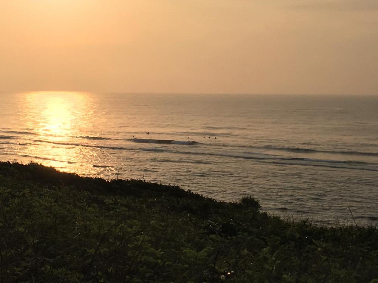 feb 20 suicide point wave information
