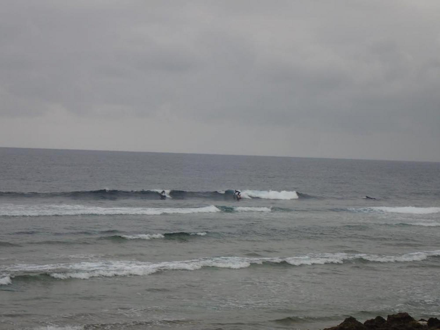 feb 22 suicide point wave information