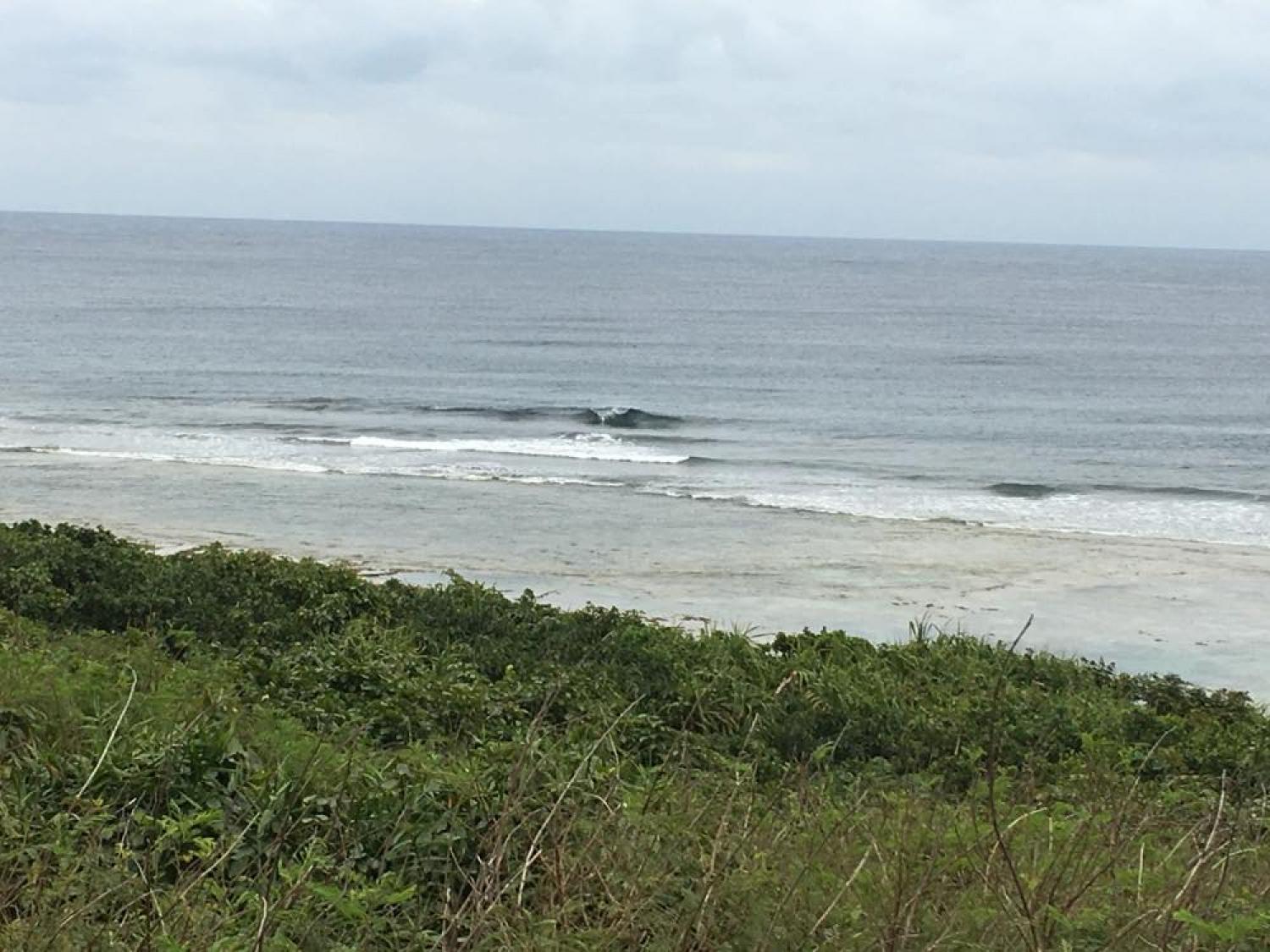 feb 23 suicide point wave information