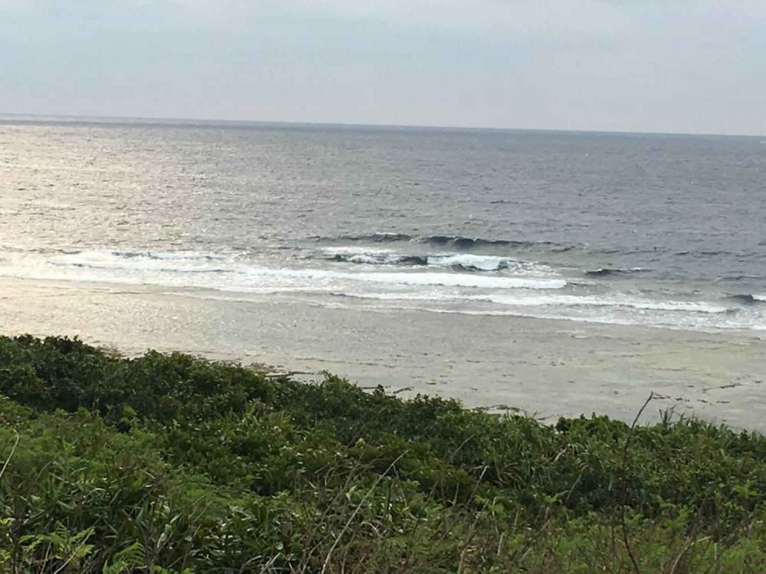 feb 24 suicide point wave information