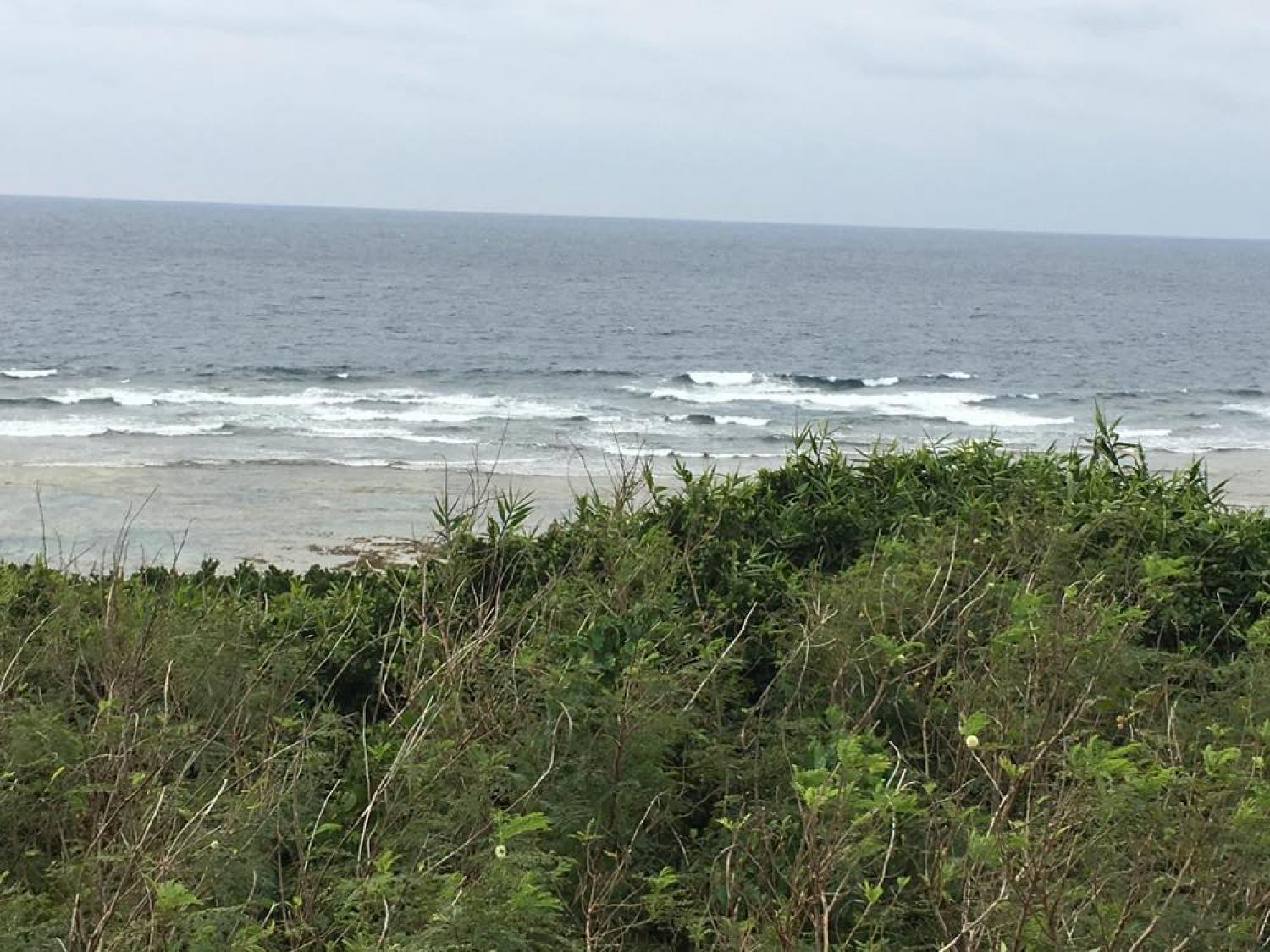 2月24日（土） スーサイド波情報 2