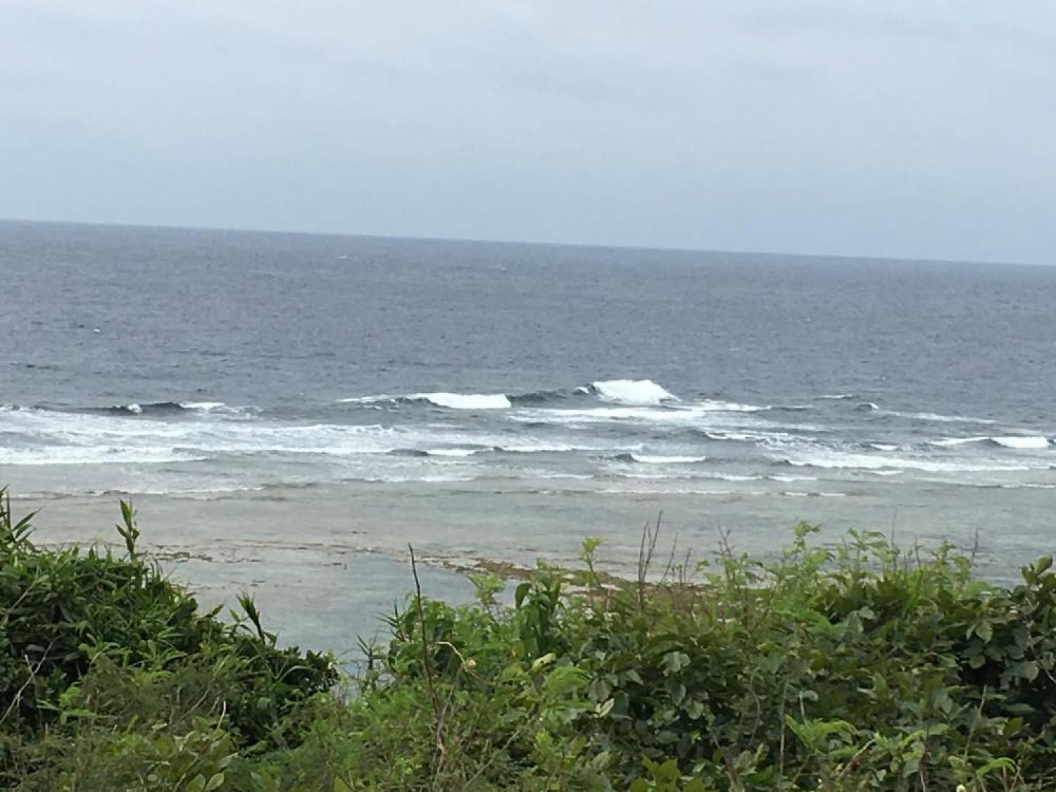 2月24日（土） スーサイド波情報 3