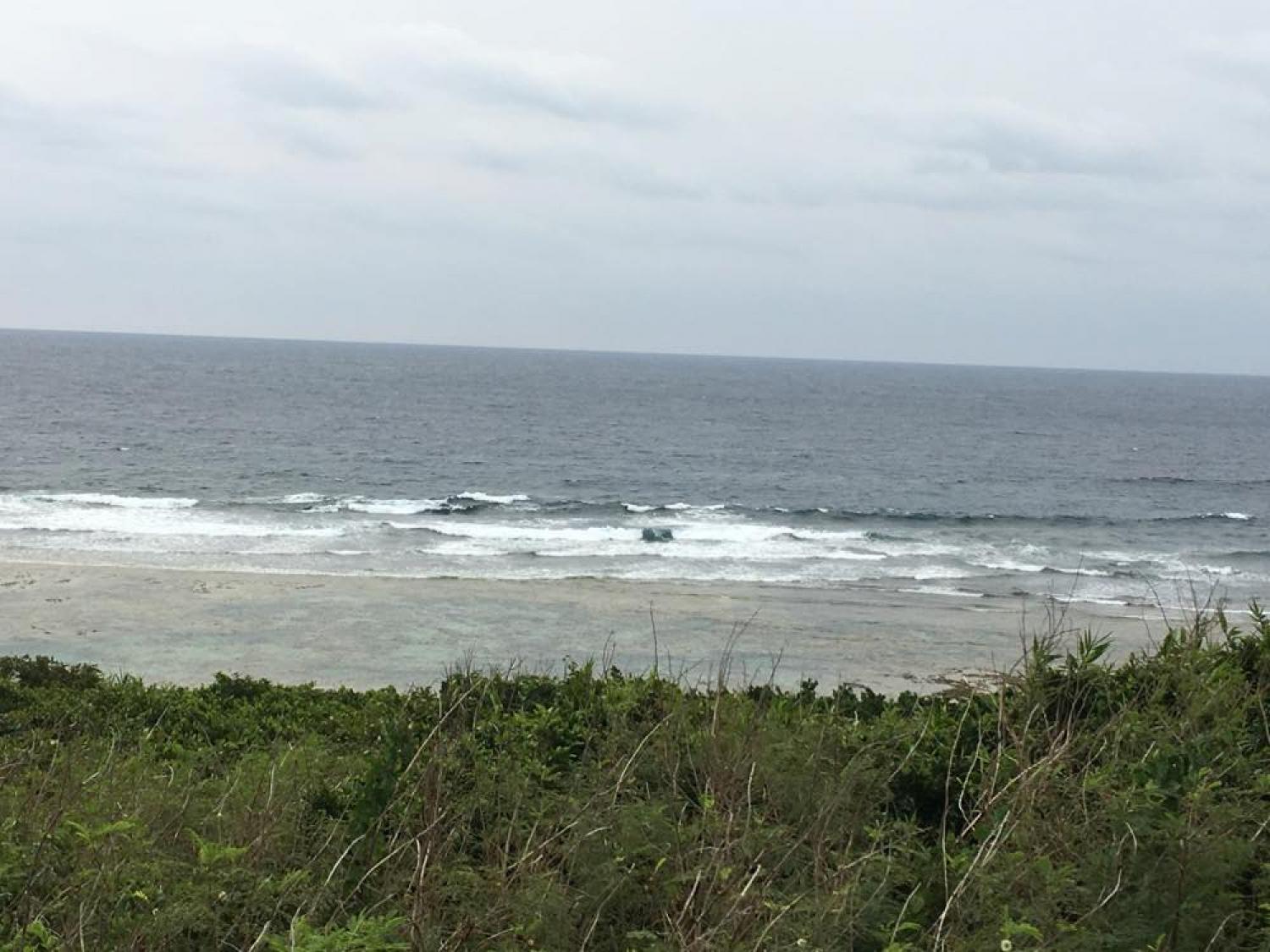 2月24日（土） スーサイド波情報 4