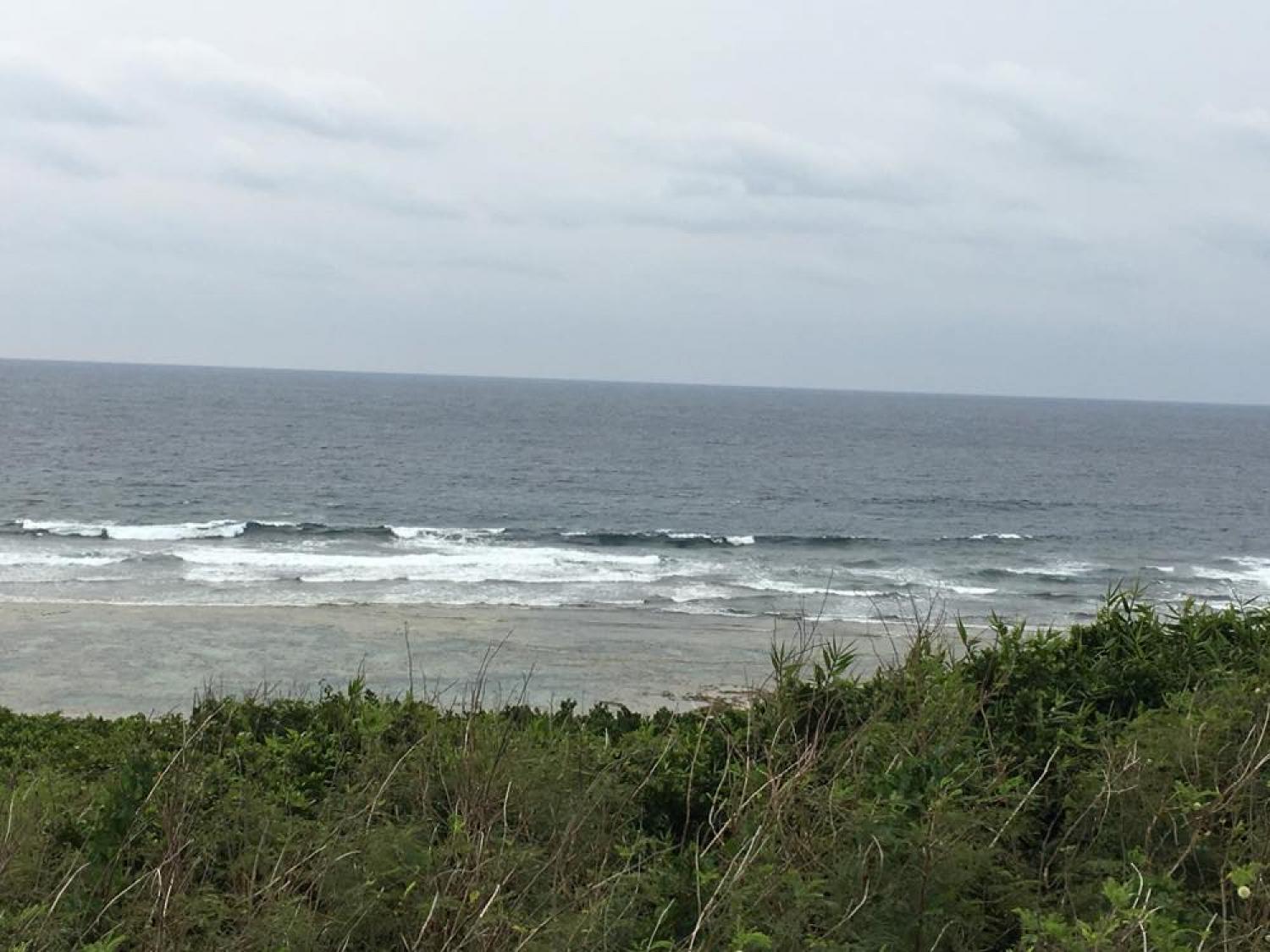 2月24日（土） スーサイド波情報 5