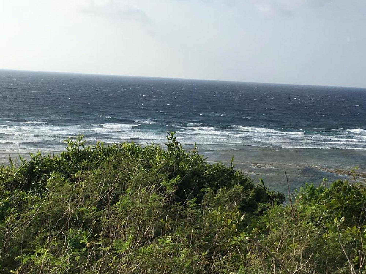 feb 25 suicide point wave information
