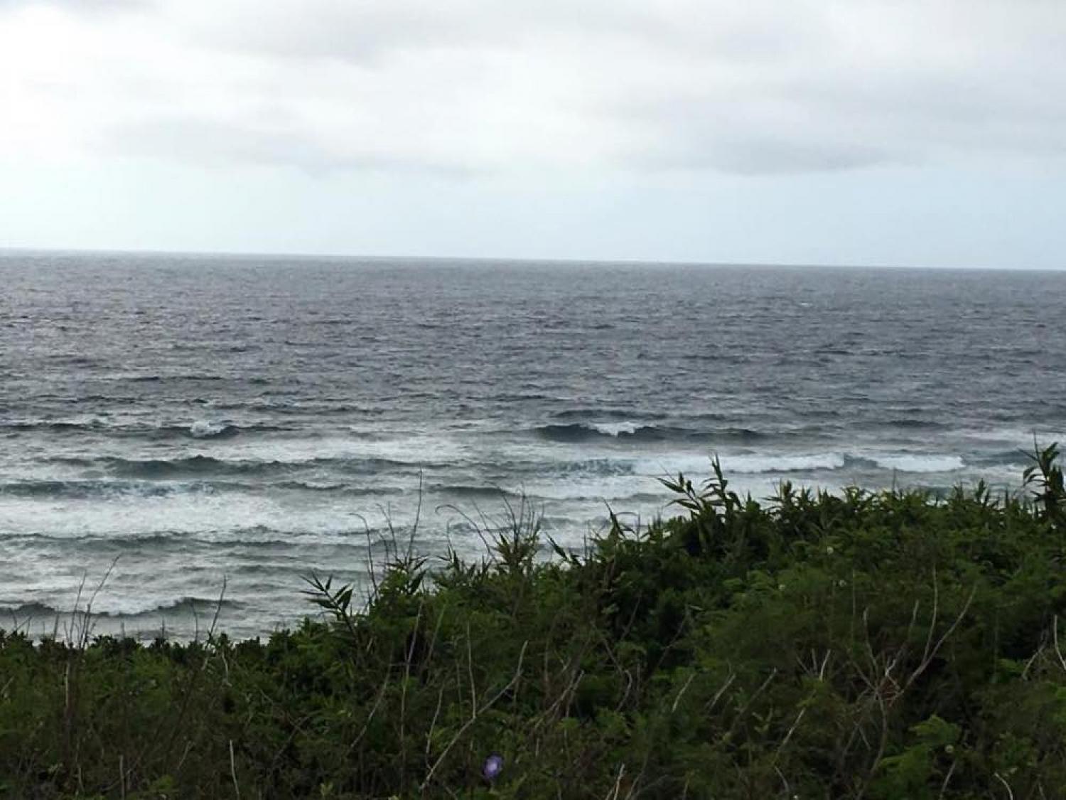 mar 5 suicide point wave information