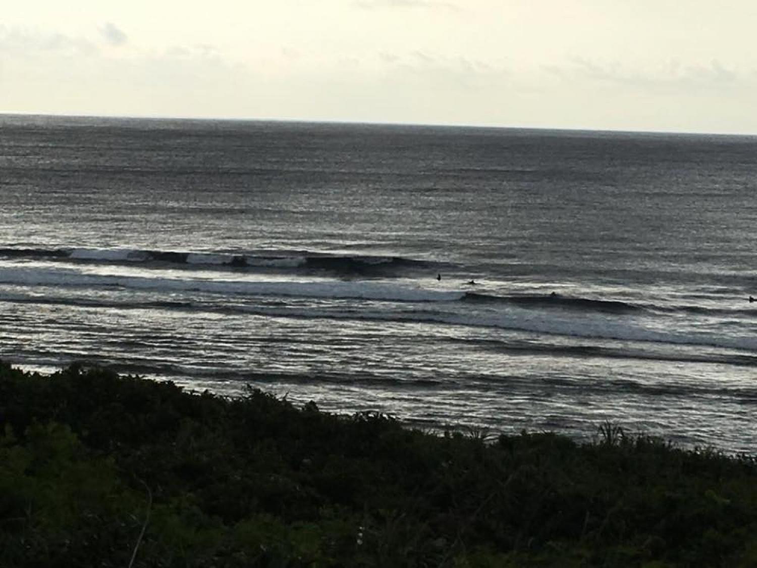 mar 8 suicide point wave information