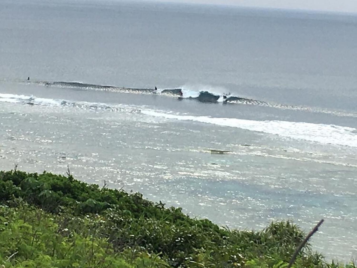 mar 9 suicide point wave information