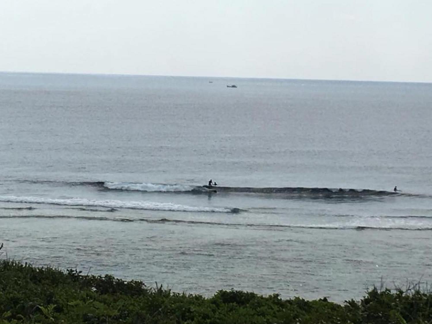 3月10日（土）スーサイド波情報 2