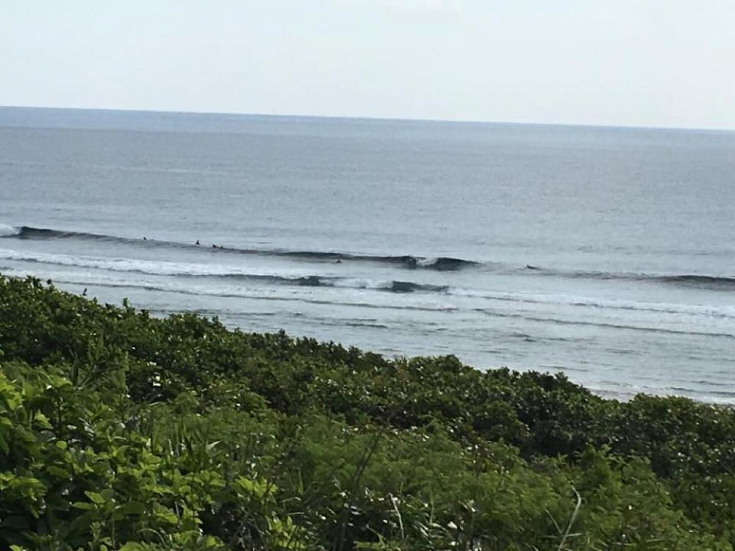 3月10日（土）スーサイド波情報 3