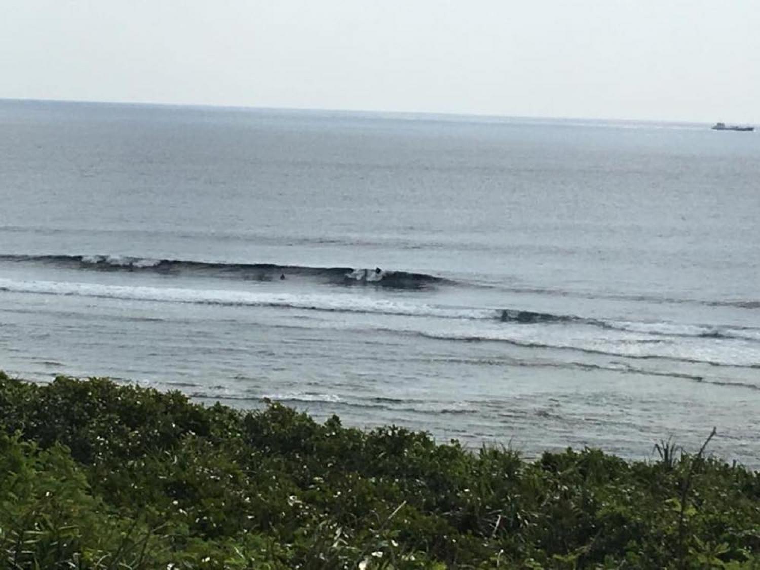 3月10日（土）スーサイド波情報 4