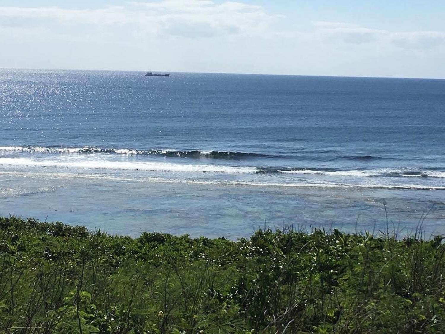 mar 11 suicide point wave information
