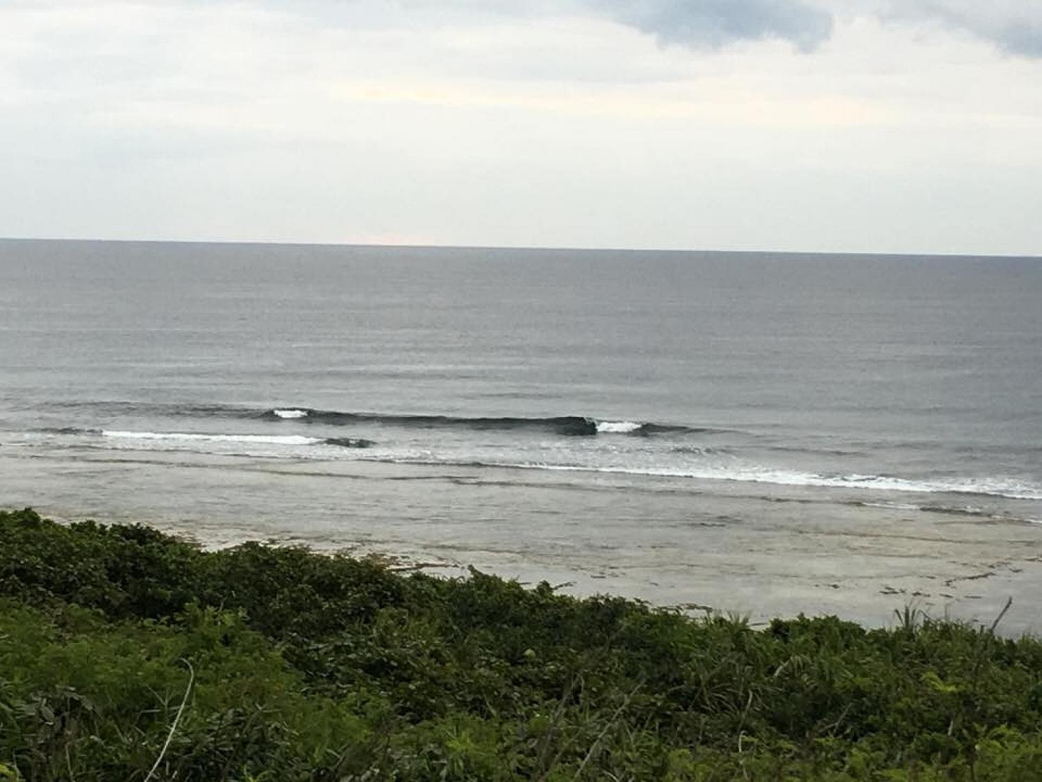 mar 12 suicide point wave information