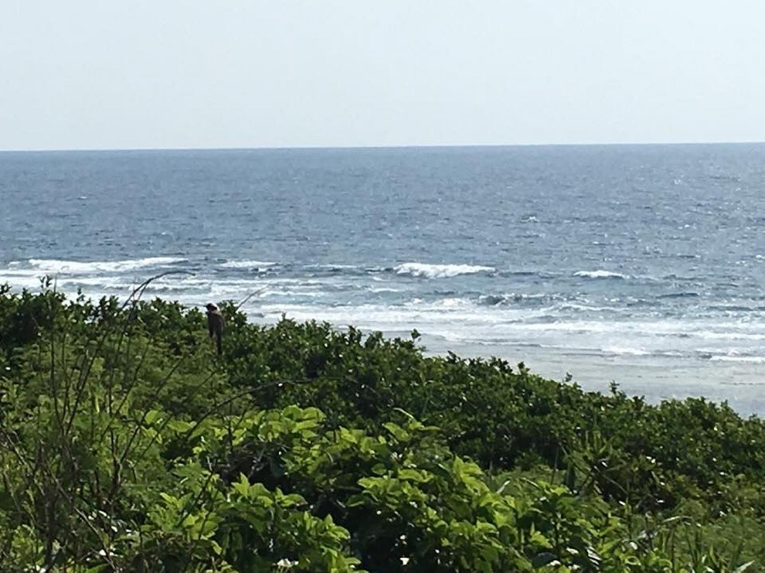 mar 13 suicide point wave 