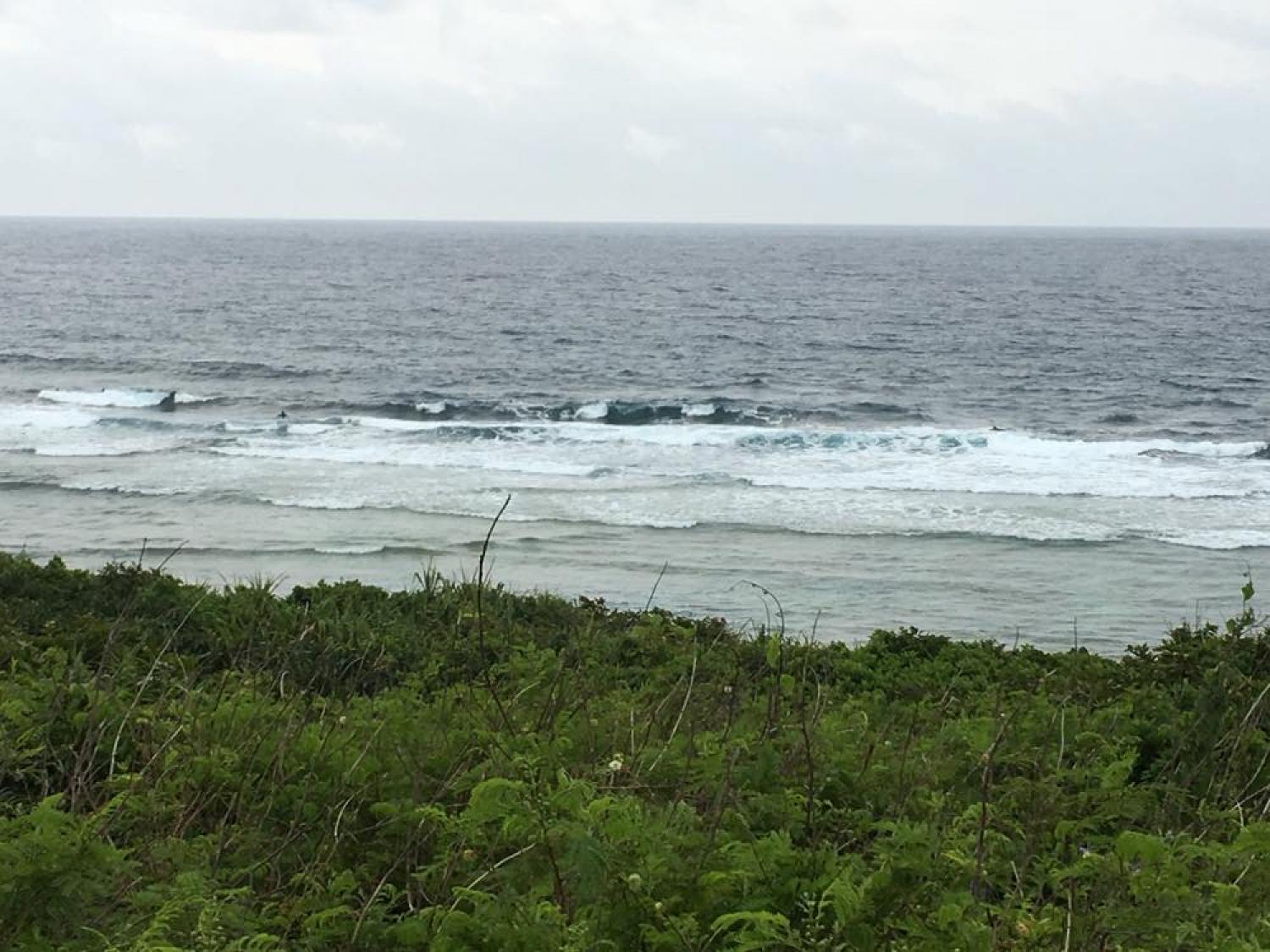 mar 13 suicide point wave information