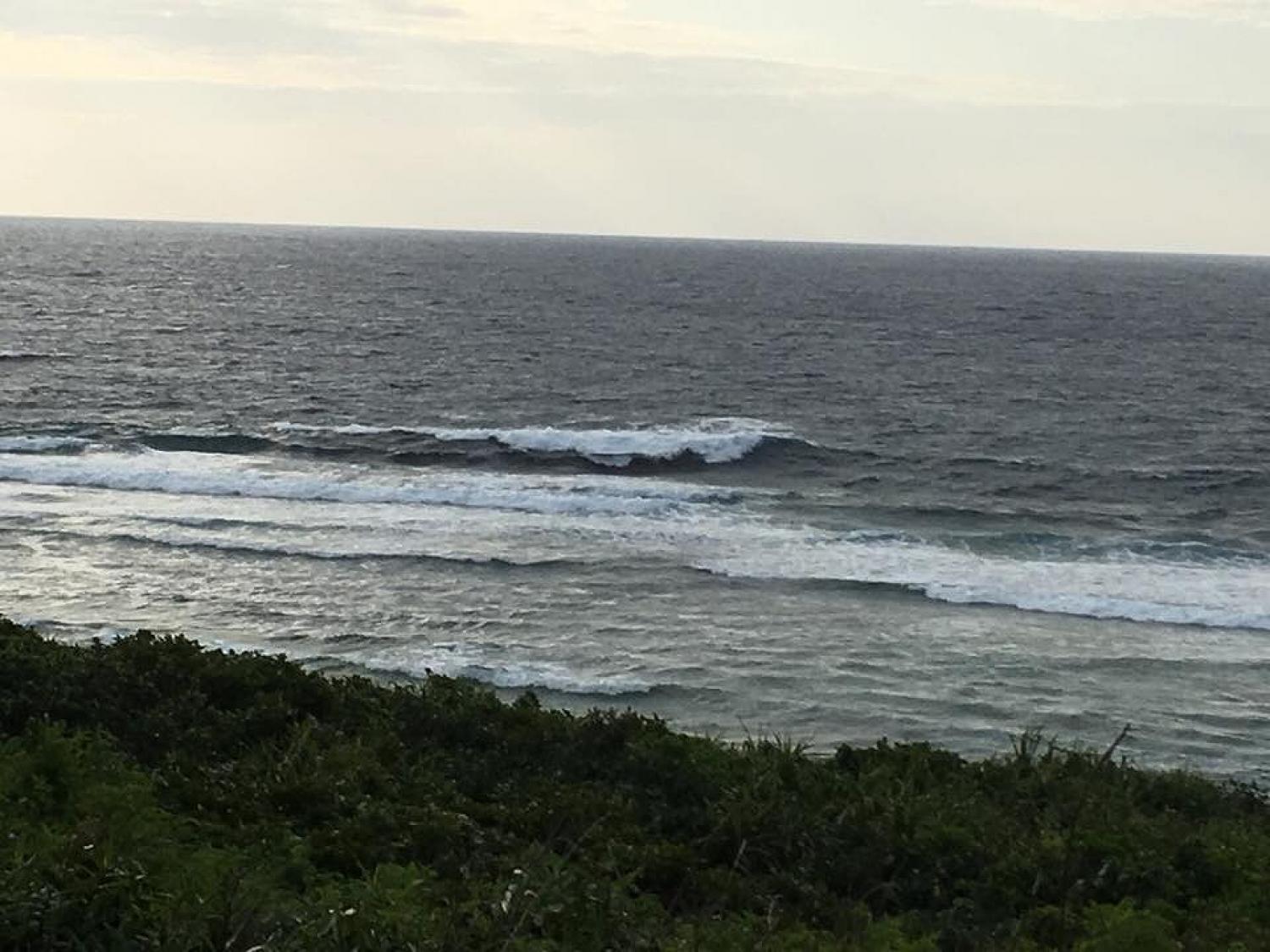 mar 18 suicide point wave information